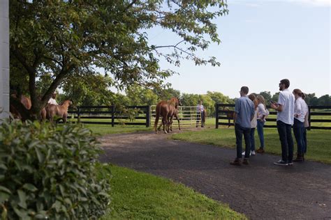 Horse Farm Tours In The Horse Capital Of The World Lexington Kentucky