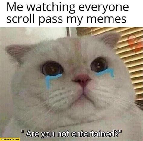 1080x1080 Sad Cat Meme