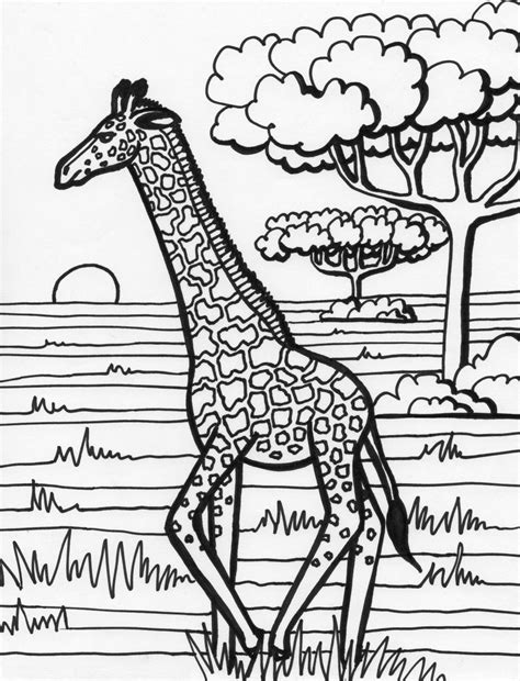 Coloring Pages Giraffe Coloring Page Photo