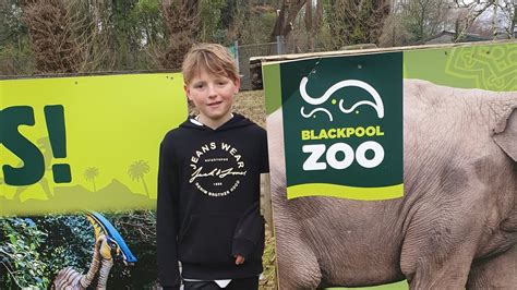 Blackpool Zoo January 2023 Youtube