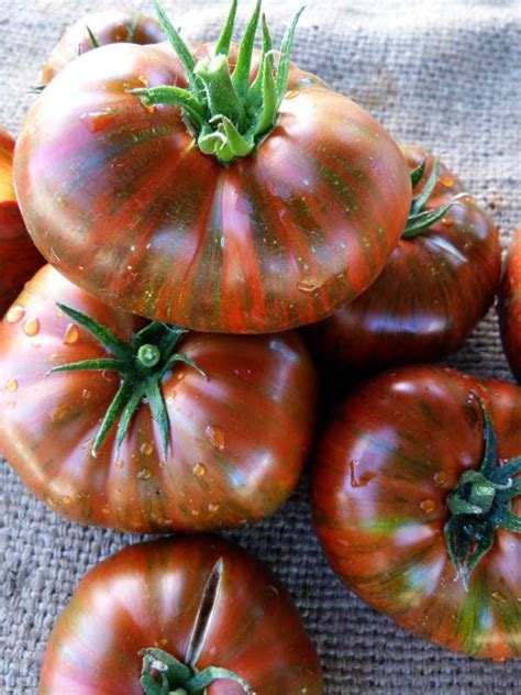 15 Of The Absolute Best Tomato Varieties You Should Plant In Your