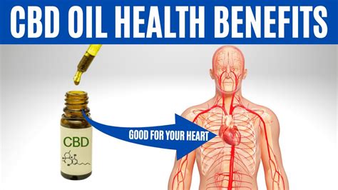 Cbd Oil Benefits 12 Amazing Health Benefits Of Cbd Oil Cannabiz