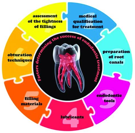 Scheme Of The Factors Determining The Success Of Endodontic Treatment