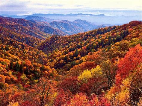 When Is The Best Time To See Smoky Mountain Fall Colors