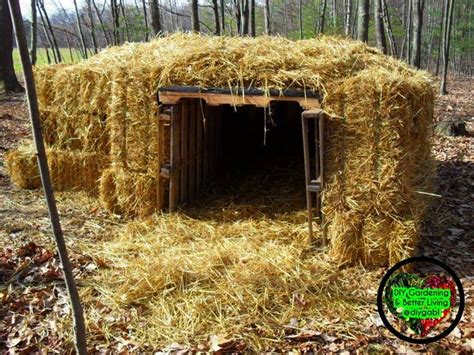 Diy Animal Shelter Pallets And Straw Bales Can Be Used To Make A Quick