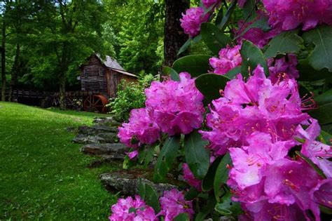 11 Perfect Places In West Virginia To Visit This Spring