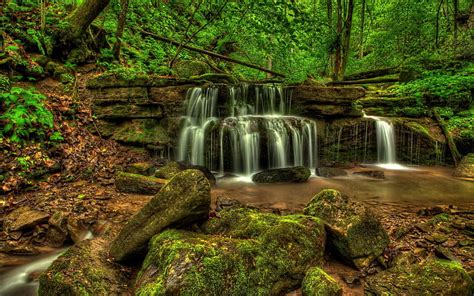 Rocks Waterfall Stones Forest Usa Stream Fall Branch Hd