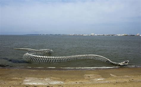 Serpent Docéan A Massive Metal Sea Serpent Skeleton Installed On A