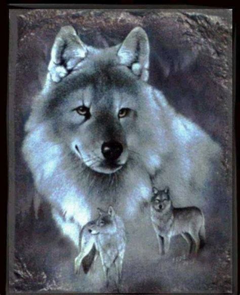 Timeline Photos The Big Brotherhood Of The Wolfs Facebook Wolf