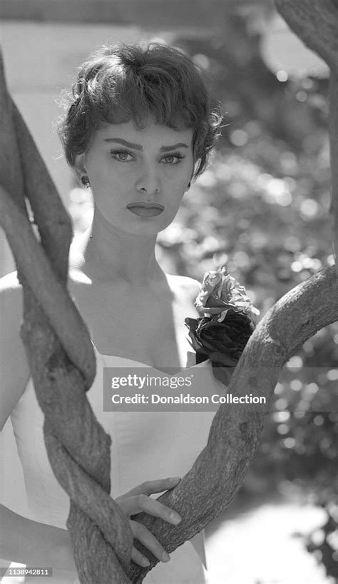 Actress Sophia Loren Poses For A Portrait Session In 1958 In Los