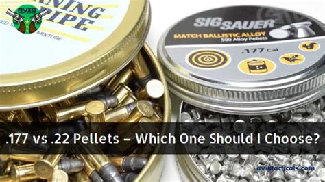 177 Vs 22 Pellets Which Is Great For Accuracy And Range