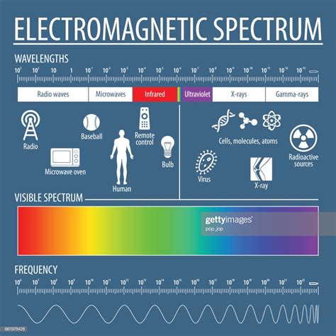 Electromagnetic Spectrum And Visible Light Vector Art