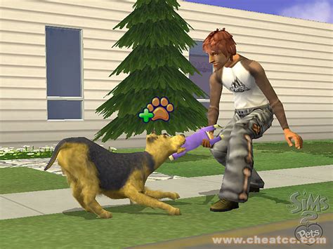 sims  pets review preview   gamecube gc