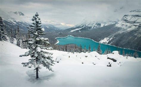 Landscape Nature Winter Lake Snow Mountain Forest