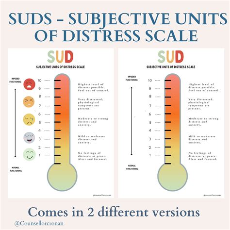SUDS Subjective Units Of Distress Scale EMDR BPD Therapy Etsy