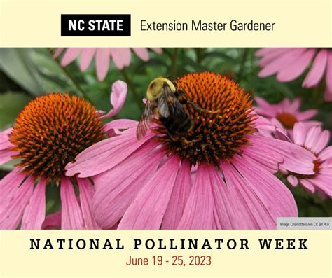 Did You Nc State Extension Master Gardener Volunteers