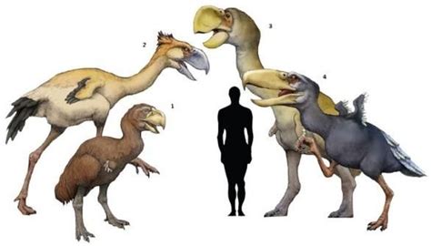 Rozdziały będą pojawiać się raz na. Блогът на valentint :: Largest prehistoric animals Vol. 2 ...