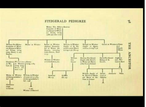 The Fitzgeralds Origin Of The Fitzgeralds The Ancestor Quarterly