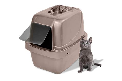 The 5 Best Sifting Cat Litter Boxes In 2023 Pawgearlab