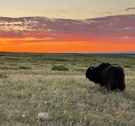 Jeffree Star's Wyoming Ranch Tour: Photos of the 70-Acre Property