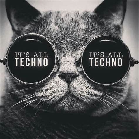 Techno Cat Techno Techno Music Techno Quotes