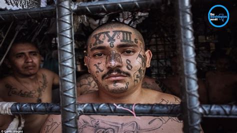 Fourteen Illegal Immigrants Among Ms 13 Gang Members Arrested For La