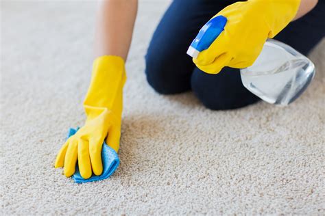 Reasons to Consider Commercial Cleaning - Elistingz