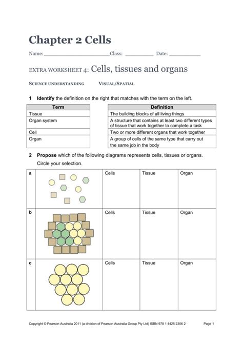 Animal & plant cells 2. Chapter 2 Cells Name: Class: Date: extra worksheet 4 ...