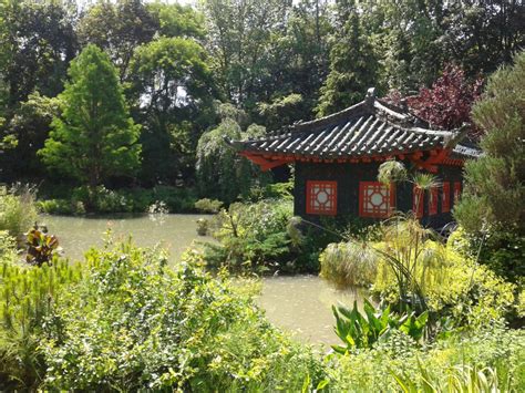 Was sind die bekanntesten asiatischen pflanzen? Der Asiatische Garten in Münzesheim - Entdecke Kraichtal