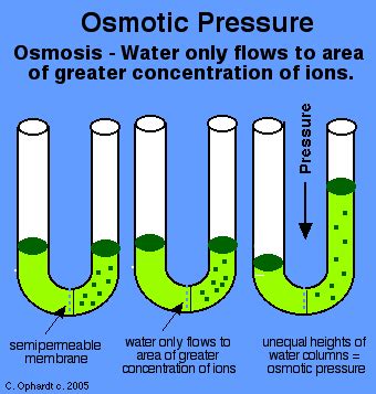 Osmotic pressure pressure exerted by substances in a solution, caused by molecular activity source: Fluid Exchange processes