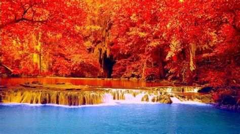 Fall Autumn Love Four Seasons Attractions In Dreams Trees