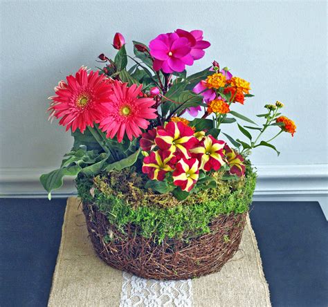 Vibrant Blooming Plant Basket — Long Stems Exceptional Floral Design