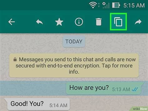 You can test if it works below. Comment copier et coller les messages sur WhatsApp