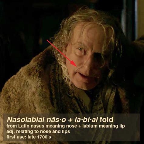 Fun Fact Nasolabial Fold Outlander Anatomy