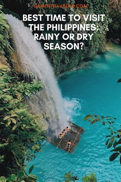 The fleshy roots tend to rot in damp and undrained soil. BEST TIME TO VISIT THE PHILIPPINES: RAINY OR DRY SEASON?# ...