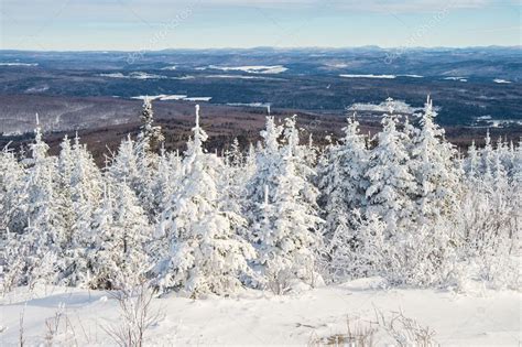 Beautiful Snowy Landscape In Quebec Canada — Stock Photo