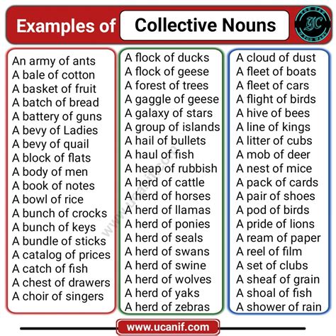 100 Collective Nouns Examples A To Z