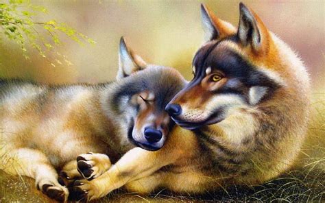 Wolf Wolves Predator Carnivore Artwork Wallpapers Hd Desktop And