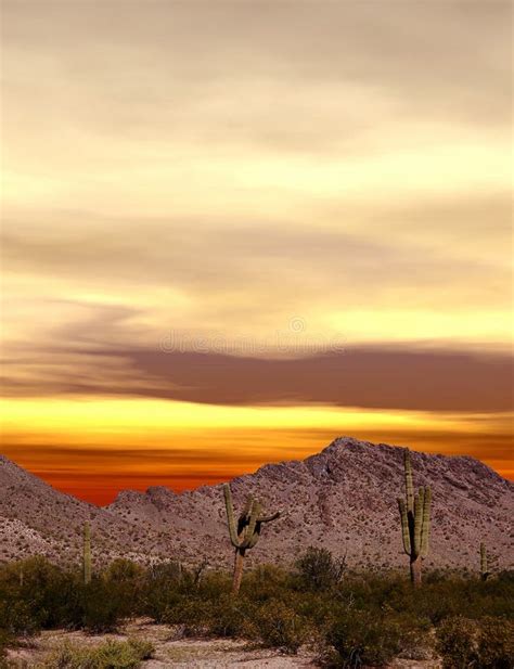 Sonora Desert Arizona Sunset Stock Image Image Of Sunset Desert
