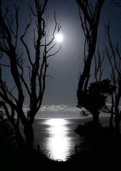 Voir plus d'idées sur le thème la photographie en noir, photo en noir, belle photo. noir et blanc paysages