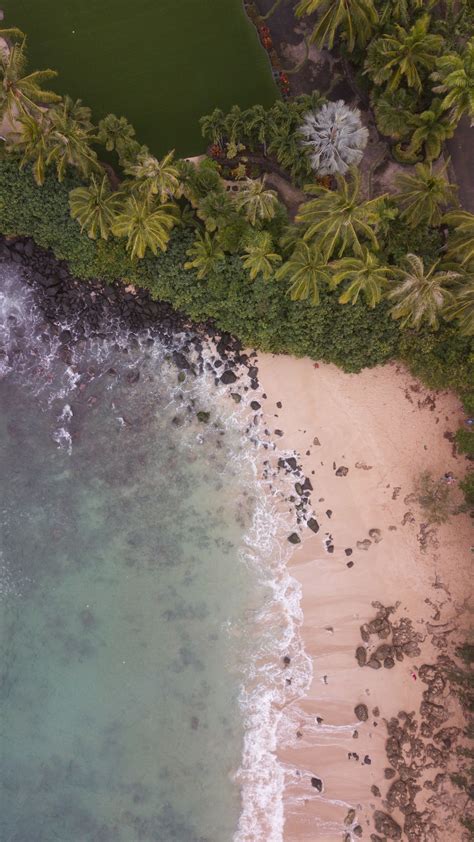 Download Wallpaper 1440x2560 Beach Aerial View Palm Trees Sea Sand