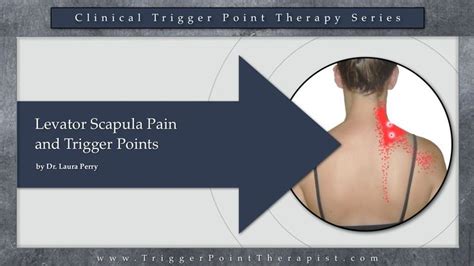 Levator Scapula Pain And Trigger Points Massage Techhniques Pinte