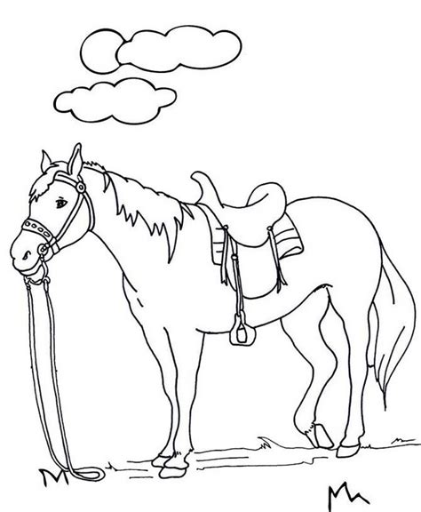 Wonderful Horse Coloring Page For Kids