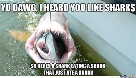 12 funny shark memes to celebrate shark week people en español