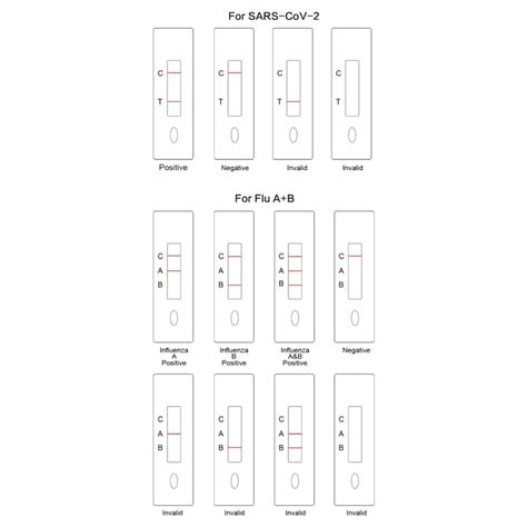 Sars Cov 2 And Influenza Antigen Rapid Test Kit A254397