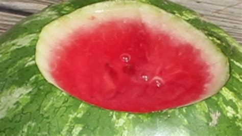 Watermelon popsicles, watermelon and feta salad, and a watermelon juice recipe. How to make watermelon taste sweet - YouTube