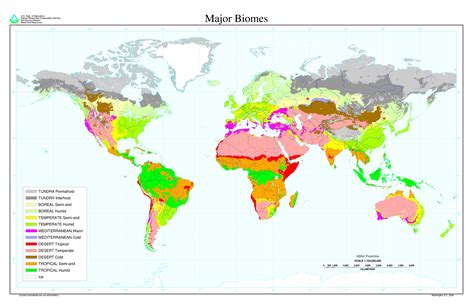 A Map Of All Of The Main World Biomes Rgeographymaterials