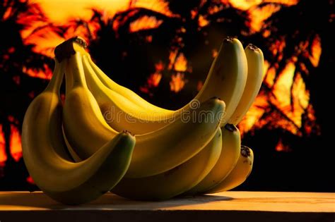 Ripe Yellow Bananas Bunch Tropical Palm Trees Stock Image Image Of