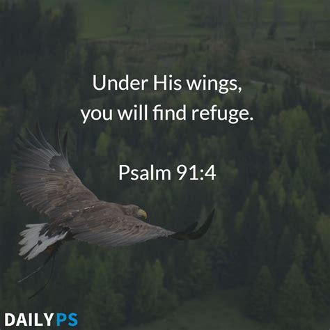 Under His Wings You Will Find Refuge Psalm 914 Psalm 91 4 Psalms
