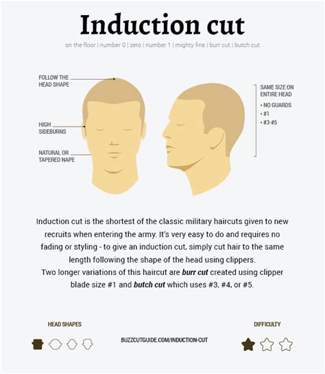 We did not find results for: Induction Cut — Learn About Types, History, and How to Do ...